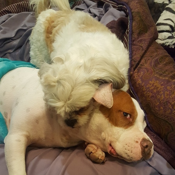 Meet your Posher, Emily - Picture 2 of 4